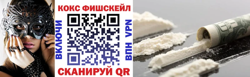 Cocaine FishScale закладка Райчихинск