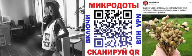 Галлюциногенные грибы ЛСД Райчихинск