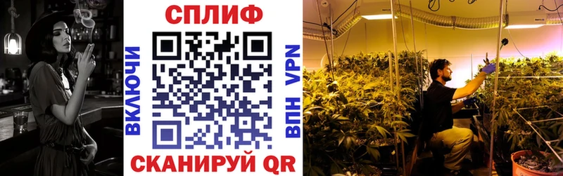 Шишки марихуана семена  хочу наркоту  Райчихинск 